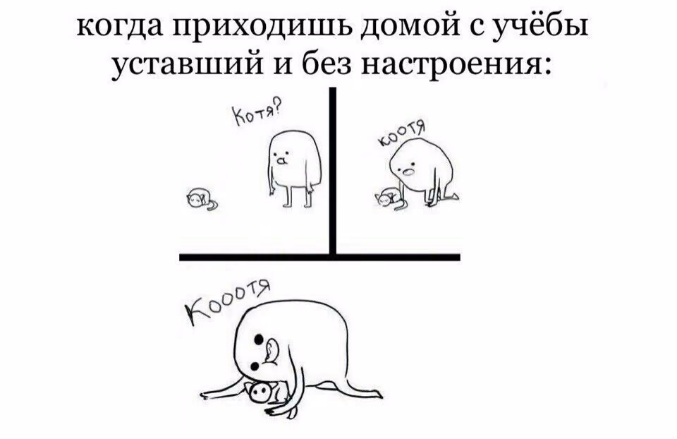 049c969ad3ad85948c1675eed2fd9bcb.jpg