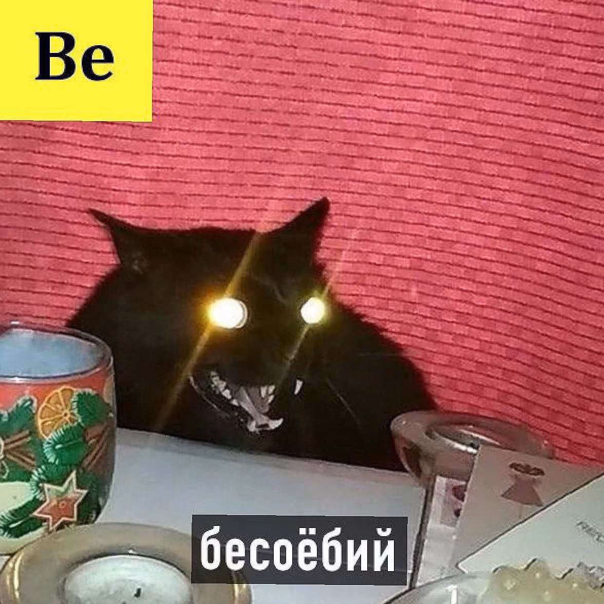 04a425e2ba123995523fea93d5d087ba.jpg