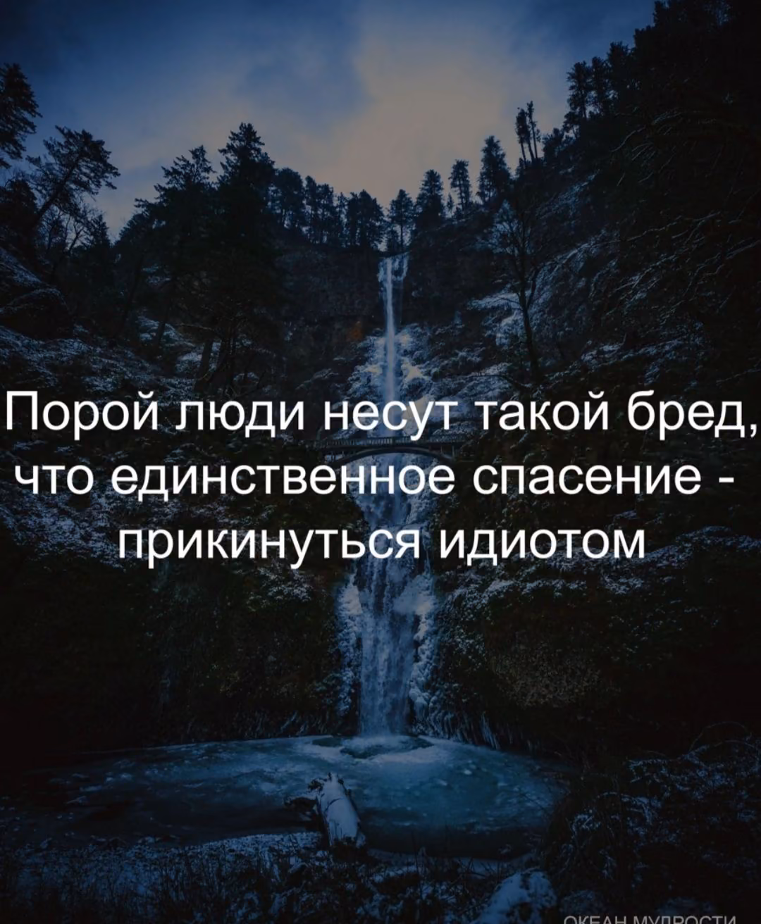 04c72884cbc4d6419dad7342ef9bc8c8.jpg