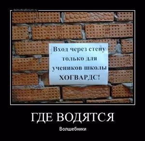 04ca30f3df93521eea888cc2a7a13dd8.avif