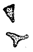 04db657aae623ff1dbe71b0f1cceb91e.jpg