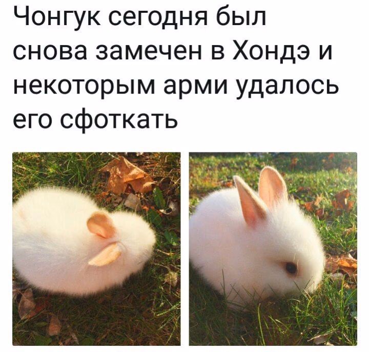 04e9d006a6e18b88f25ebfb68a1b0da3.avif