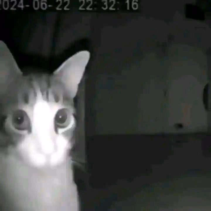 04ef2831c22f4278e5b5b2c5ea354667.avif