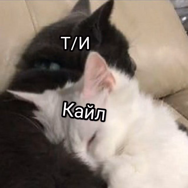 04f1782dd2e22519e88b9f75f8f9ea7f.avif