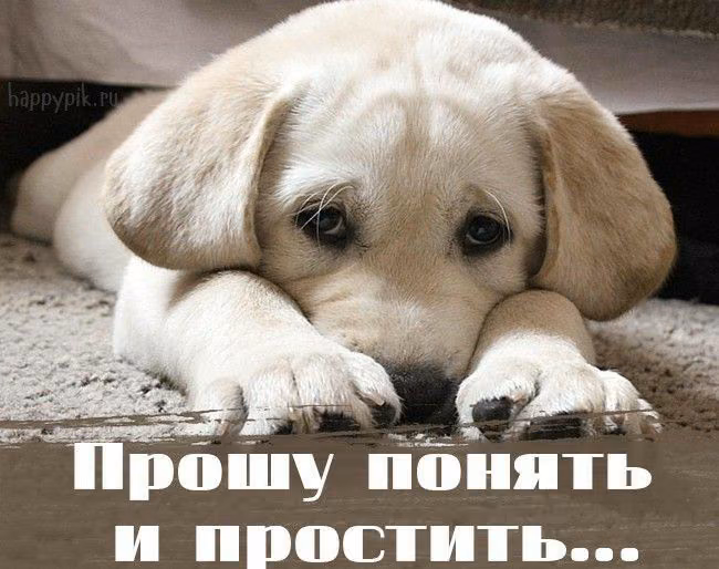 04fb76fcd55ca02e57820e1e774129ad.jpg