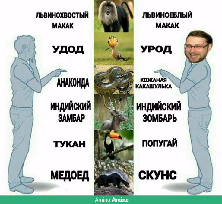 04fdaee2f2e0ee36ef7616503ed76206.jpg