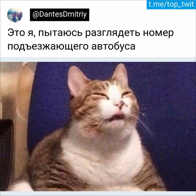 0509b75f7dd8735b898f22491ceef3e3.jpg