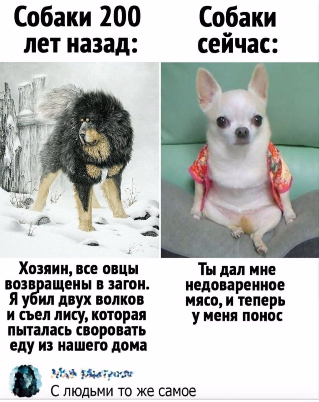 051b1f06327c0e4b698d6ed3a11a8b72.avif