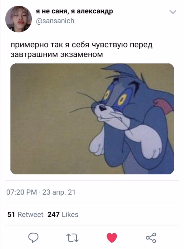 052e3bd919e59027e497f9aaefad921f.avif