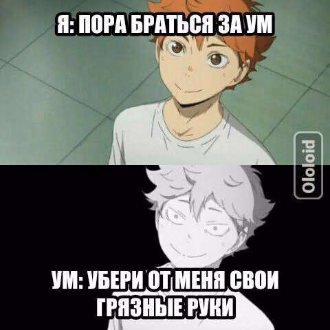 053a71de1154341e83667972c2e53d04.avif