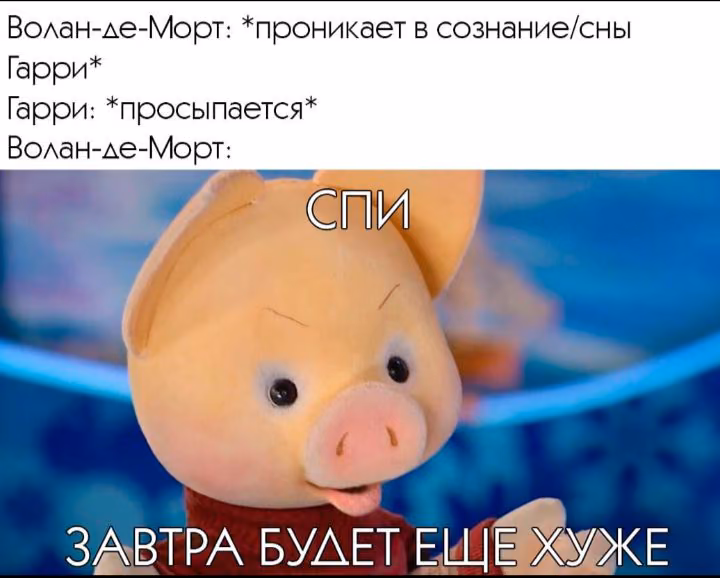 0549ba54ff49c3884658a859e84351f4.avif