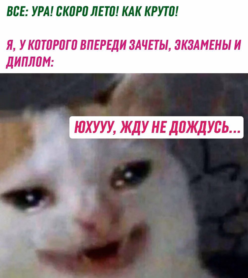054c5d9d8473928585cce4a7884ffe05.avif