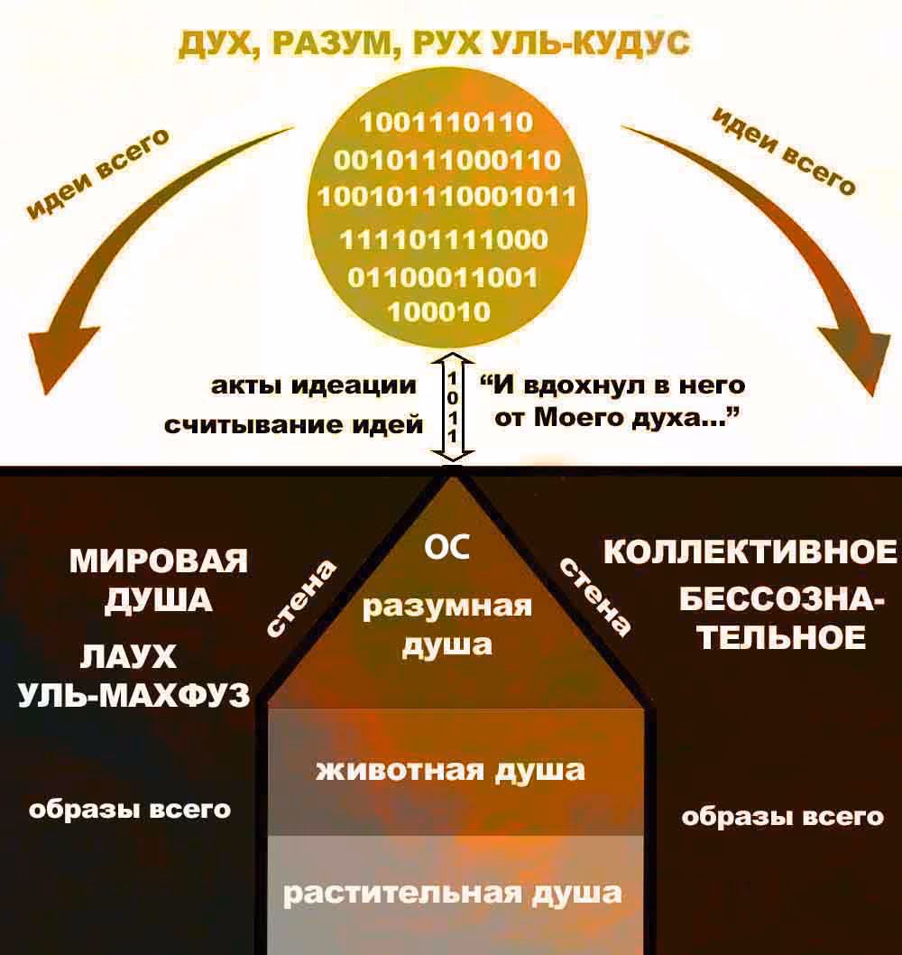 0557d38a5186c5b067292b431e1d2566.avif