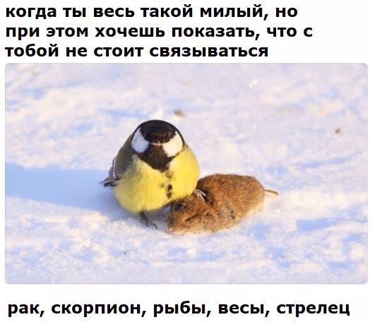 058e926a616323e936b74be5b194833d.jpg