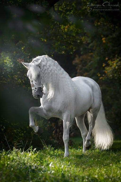 059adba8525df2621c4bb6991a768527.avif