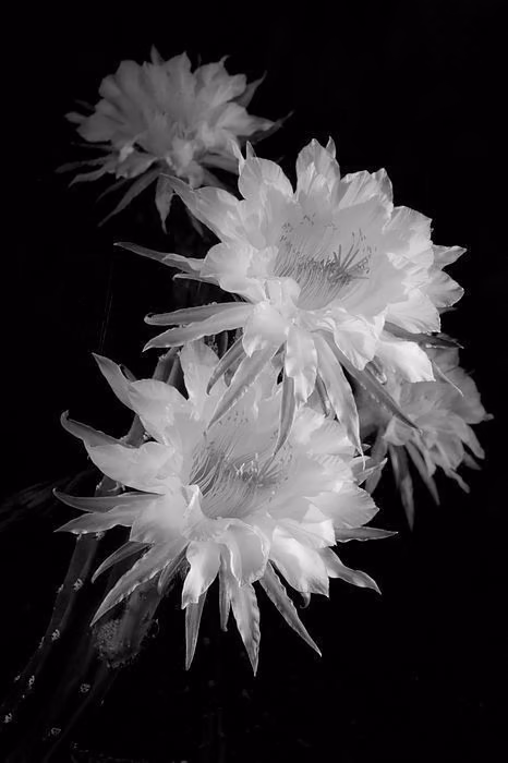 05b689a8f8991a413c291fc7acbd50a6.jpg