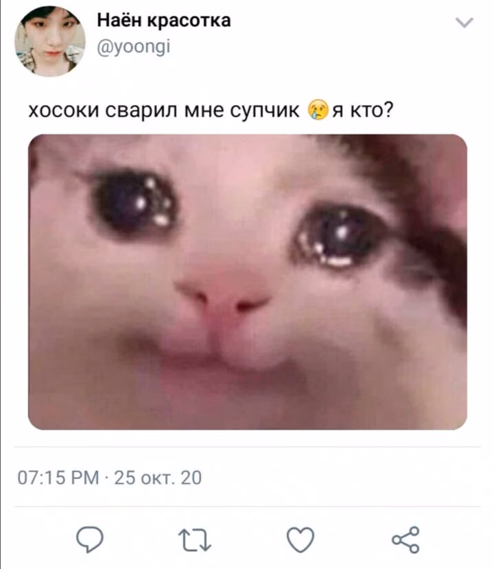 05cd16cf95b0c036978348f8792e99b7.avif