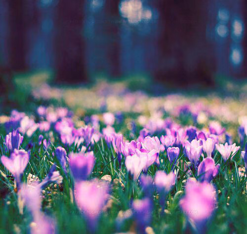 05f1eed9c556ef02c2e49870b60877e3.avif