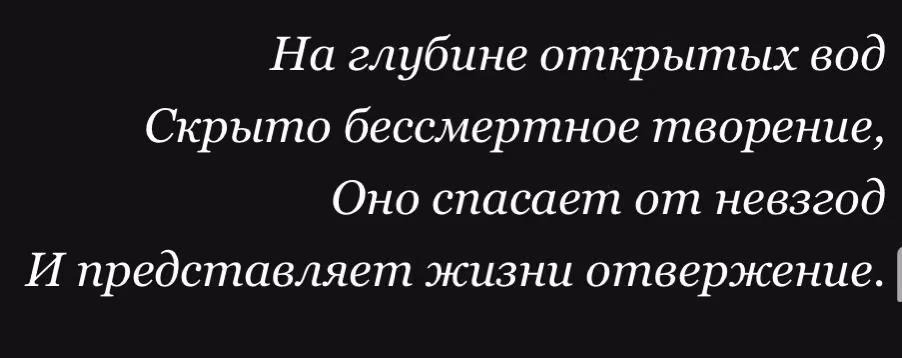 05fa42d507655131eede55bdadaf1834.avif