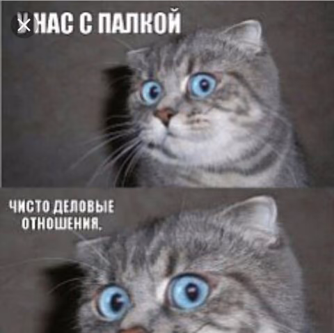 06015b4bda7ee6255e980230c1d74b66.avif