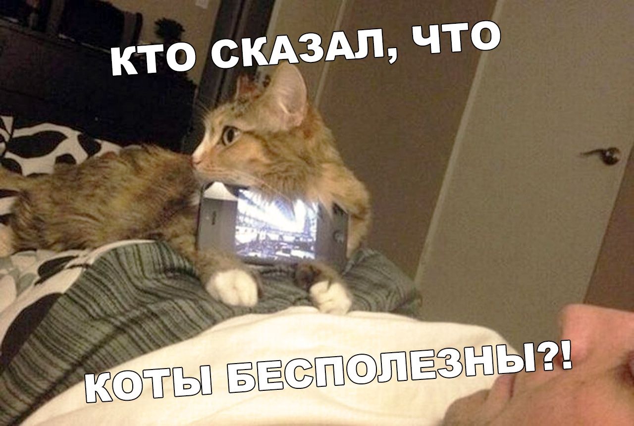 061c423c9271ded0a9e84e5878df92db.jpg