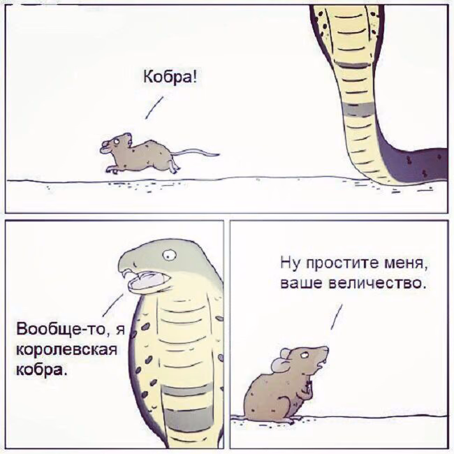 064e45dc4c6a7eeda72e62e02a1aa2a8.jpg