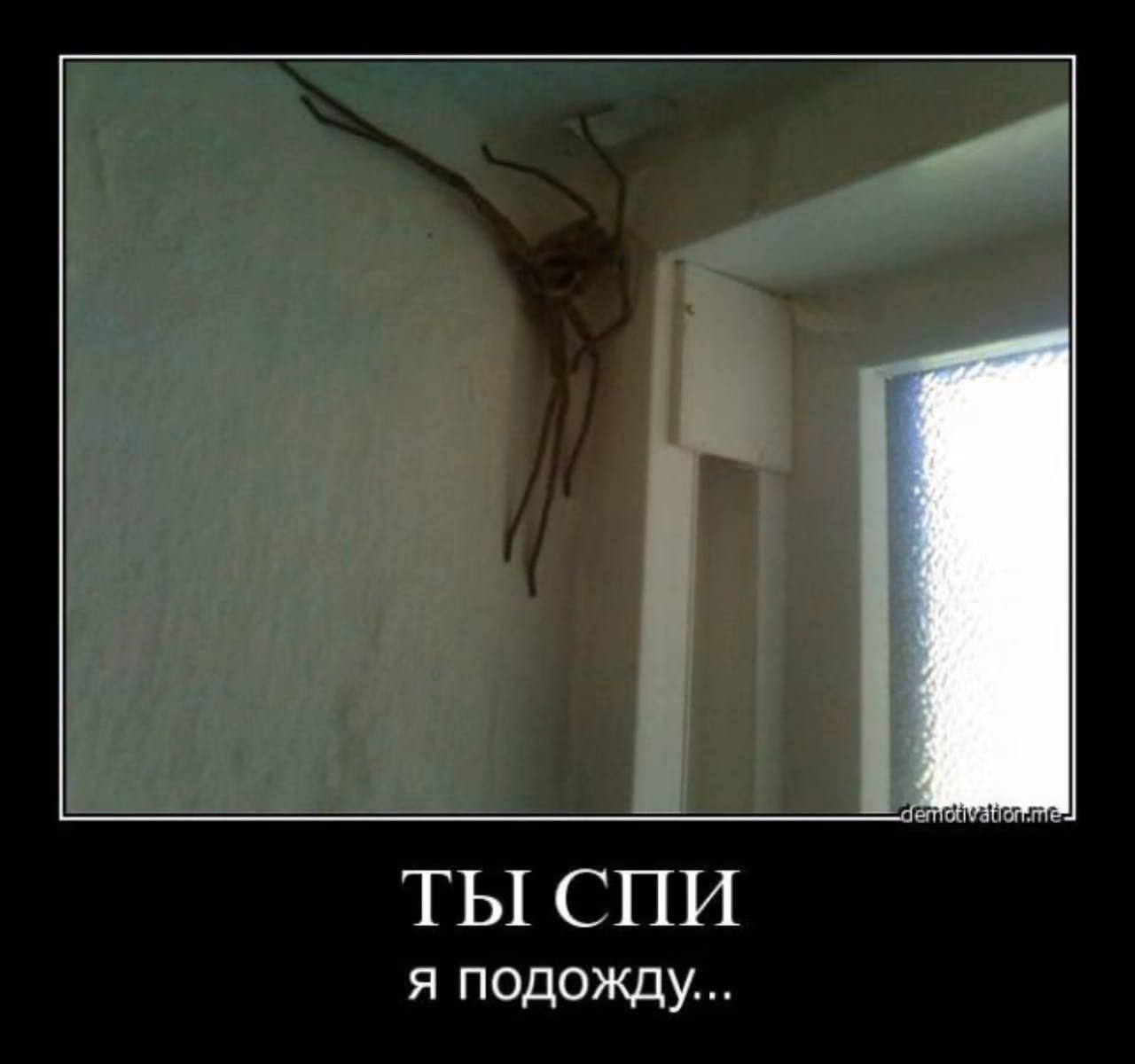 0651ea3c9f26ae1ca8878cf0295e4c08.avif