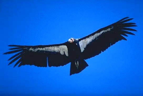0659607d0b85acbb58973aa3d54992df.avif