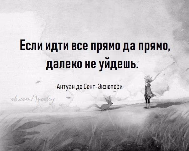 065fe663ce596fb142091c2098365d51.jpg