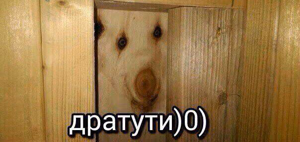 066925975990089f5520a2d914d1e42a.jpg