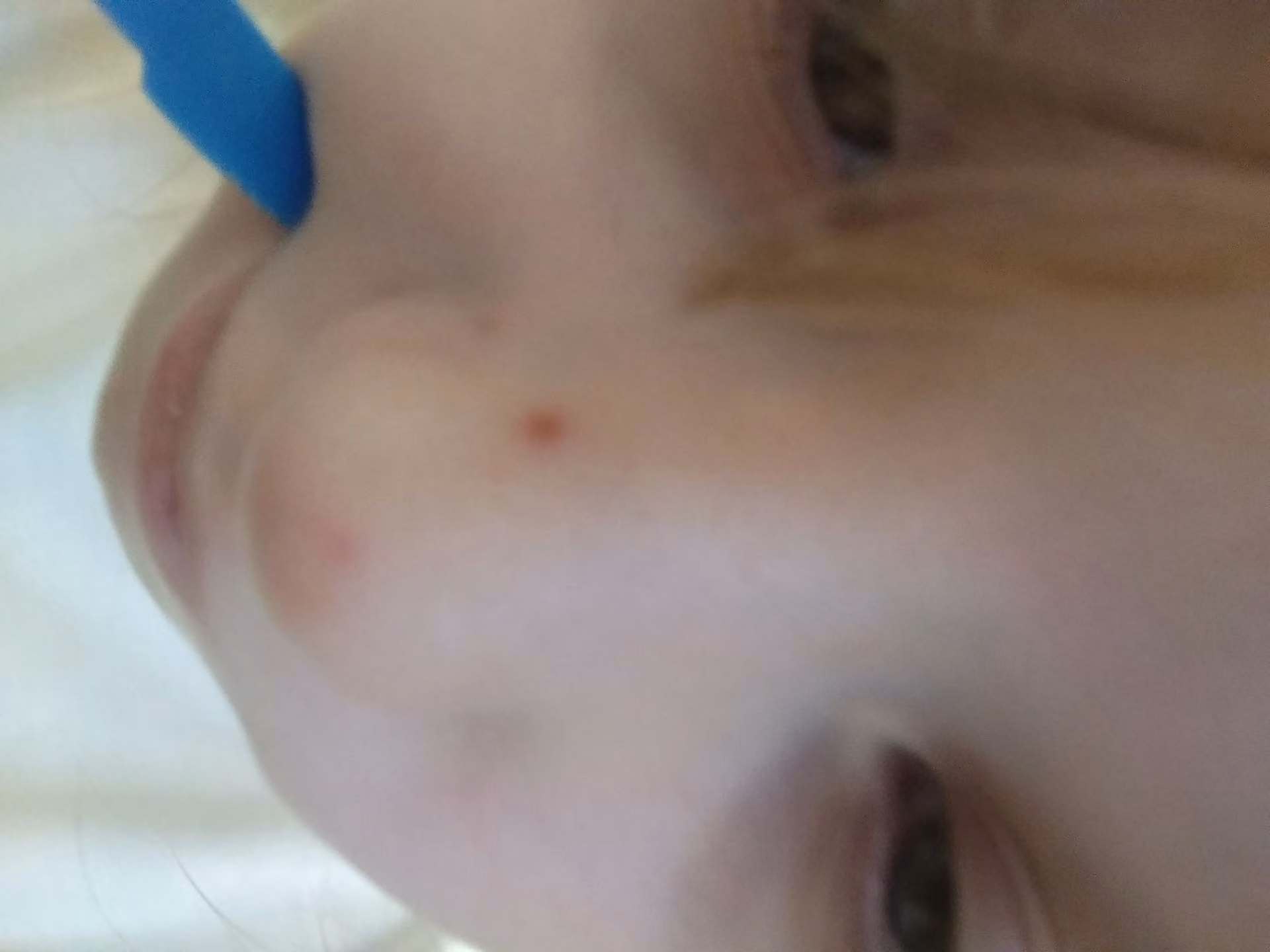 067832af6f318f3fac43ba29142e14f7.jpg