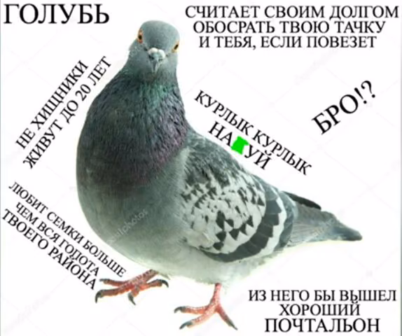 06786ac90488c383ce973aa691b608e8.jpg
