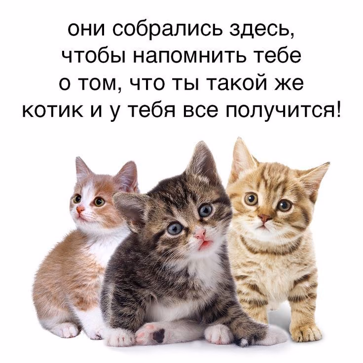 0683739761d9217f4bda5eb6fa940d63.jpg