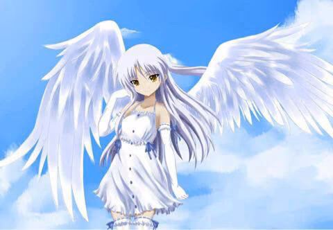 068edfc62cd23df461c3bbfea43e7b8a.avif