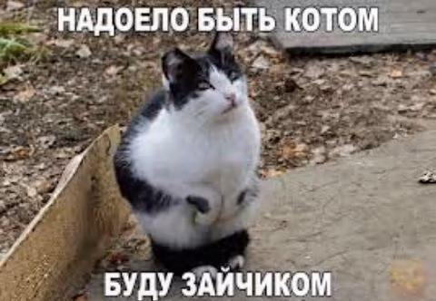 06a94c79eba2fd8f98a255e75d3ceb16.jpg