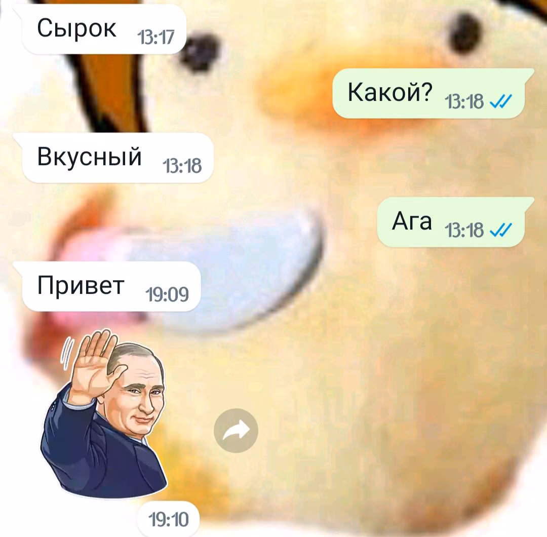 06ac44498ef26a99ee2e94922760d873.avif