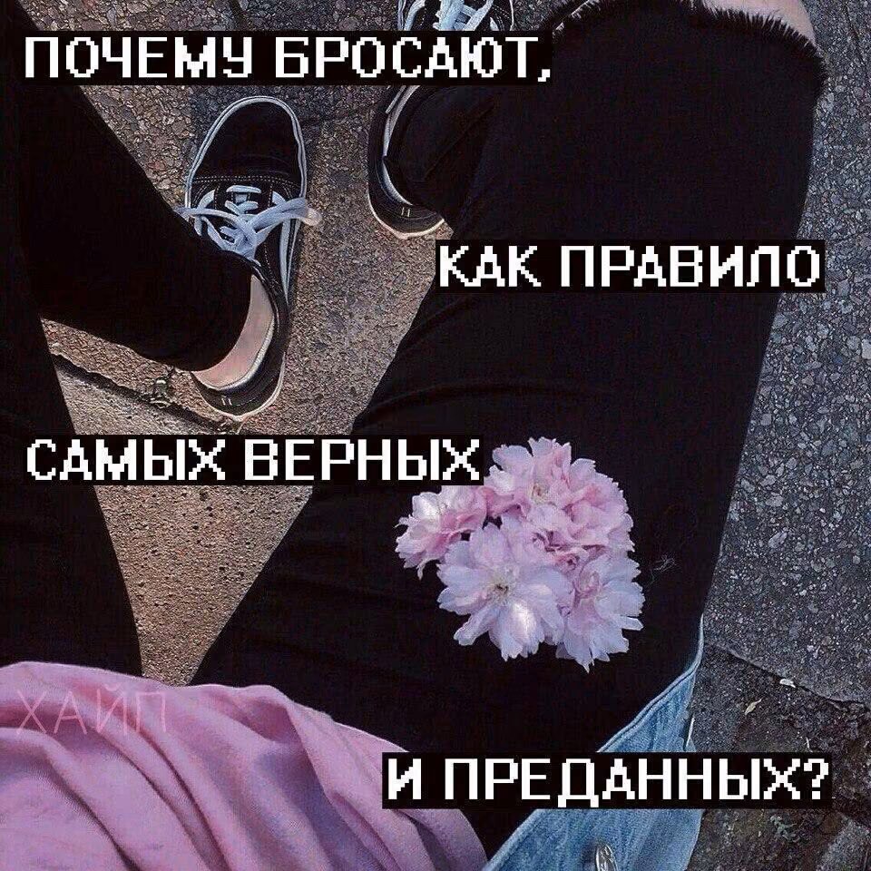 06b849508cc92d08c76f8834e7cb1c66.avif