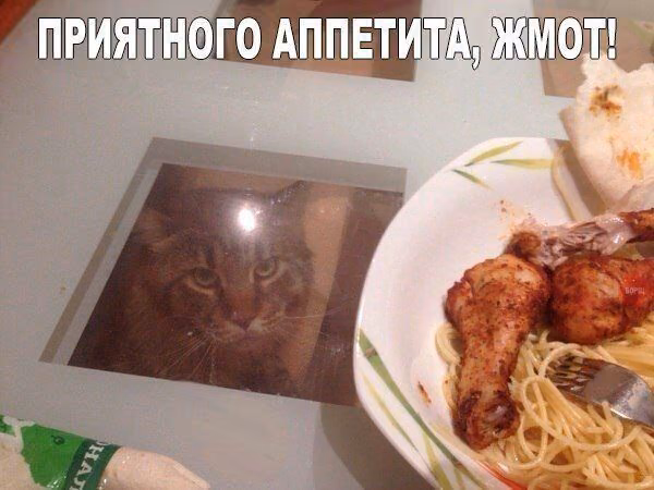 06b86276a0d9a6158064d4580263d1b0.avif