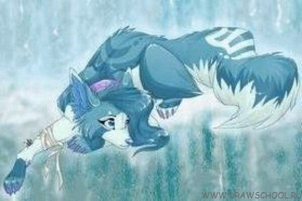 06bd603c23a550a8886b8e152141a0bd.avif