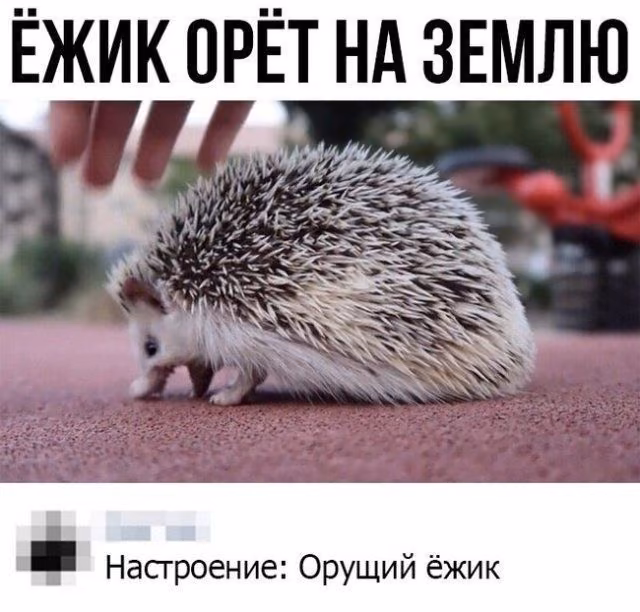 06c2b53eabd0691980d2e059eb4a73d7.avif