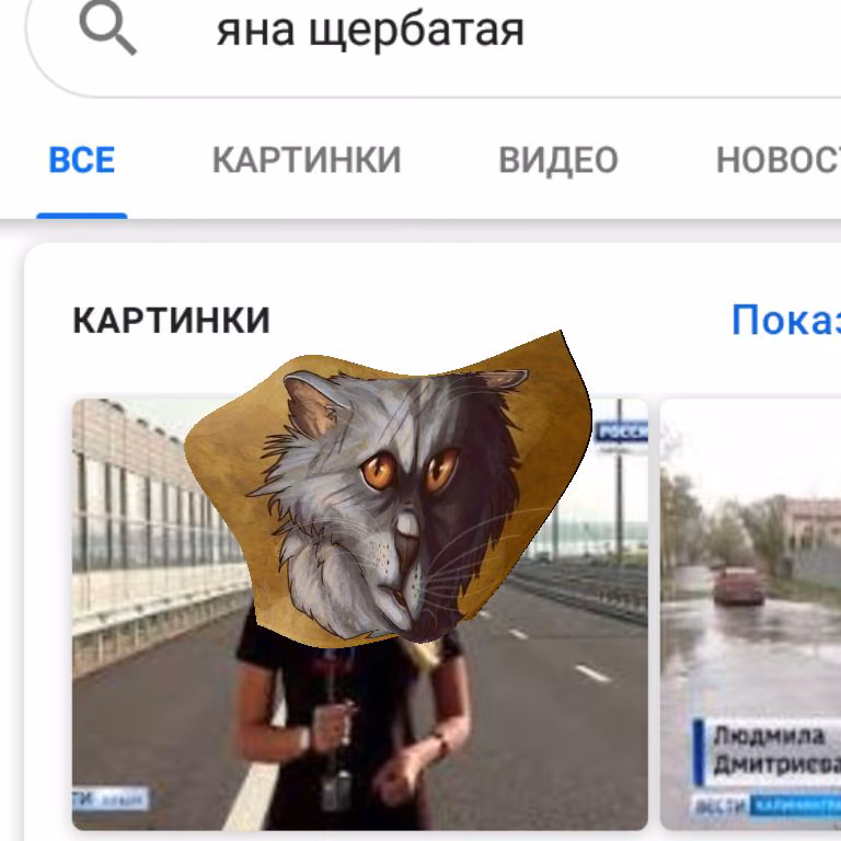 06cf375e3fb3cfdb25be589634511da0.jpg