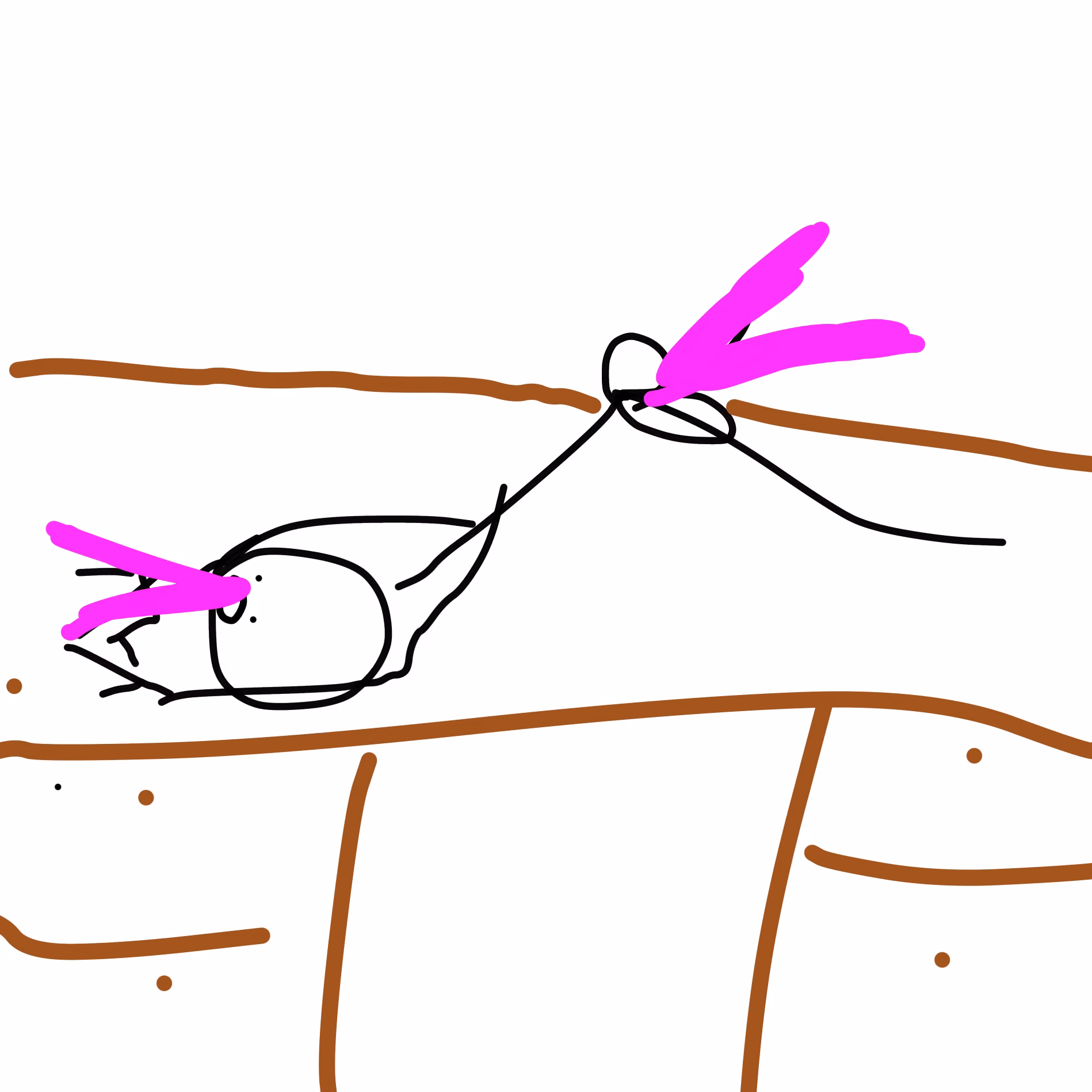 07190414f755089d6ea4dd48dc3560d2.avif