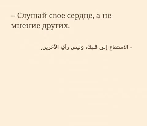 07266bec411213e56128960670502aee.avif