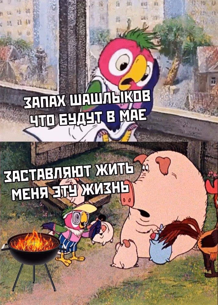 0739cd4d3cbf82a2c9f1bd044c9e3017.avif