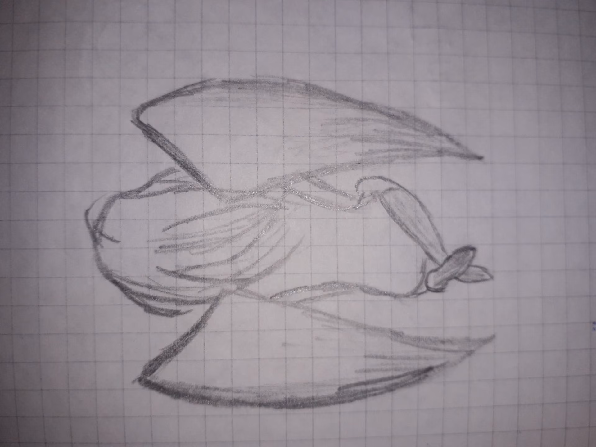 073cd7d29040ff91225df28e7ca96fa3.avif