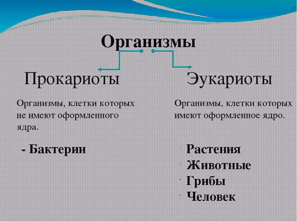 07491f603331b9ec2e8eacb8f1cf19dc.avif