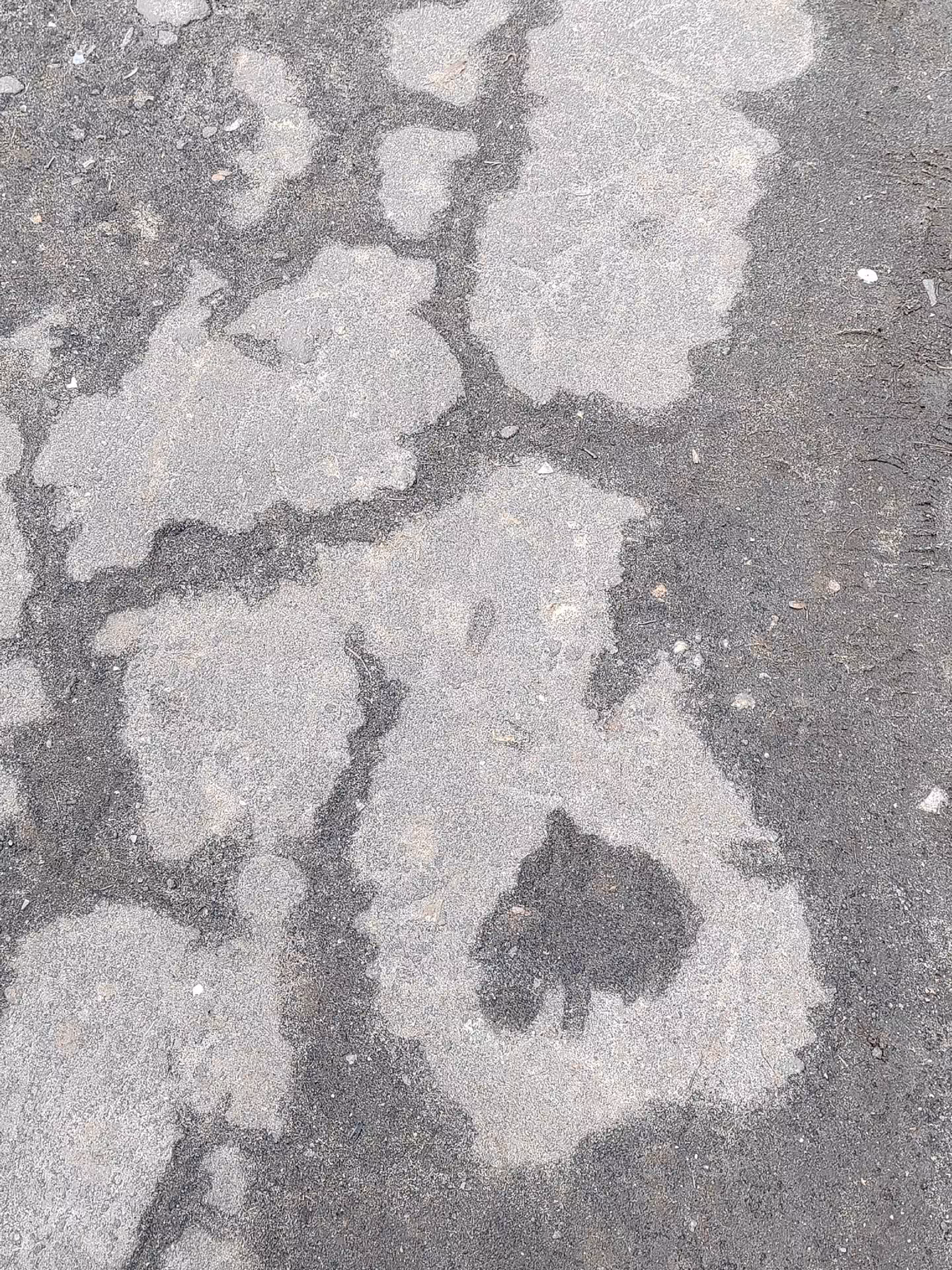 07629324b72a02c80ce46797f637e02c.jpg