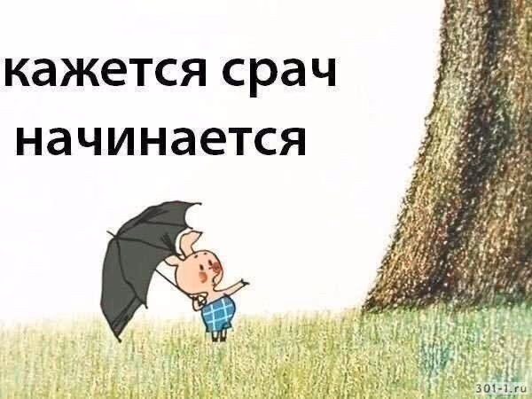 07674e48a063cebbcdbe7a42b7de1ce1.jpg