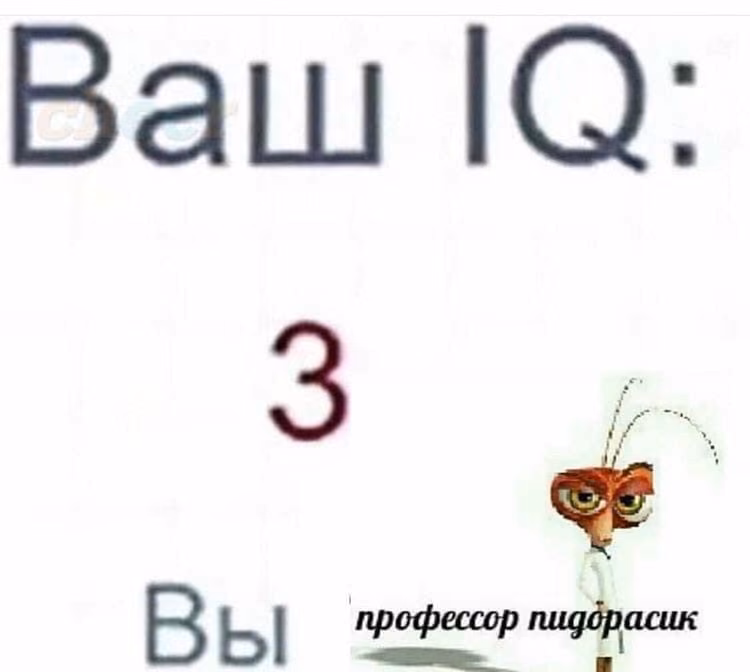 0781715c2c588478b3cba00db664e82e.jpg