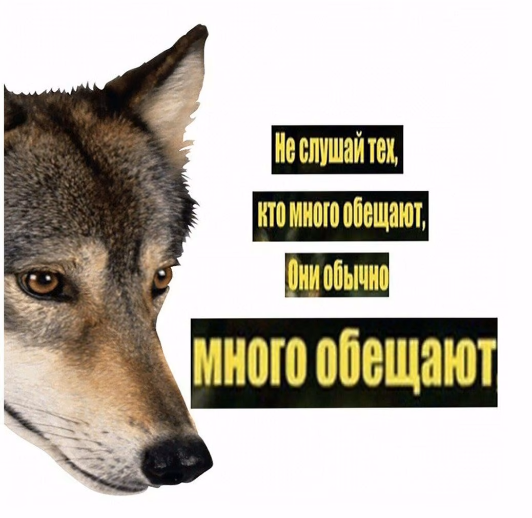 07858da106d34fbdd51c9f847622b7aa.jpg